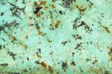 Bright Blue Apatite (Fluorapatite) Slab - Madagascar #338140-1